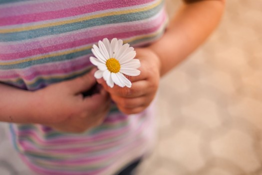 Kind mit Margerite Blume